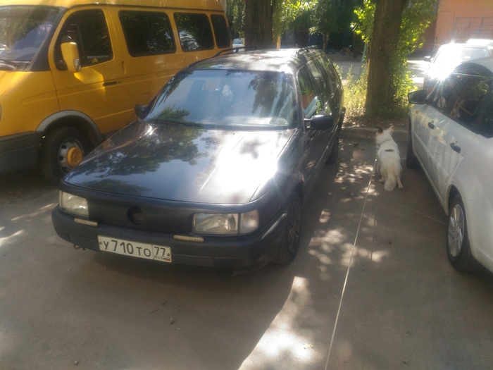      , , Volkswagen, ,   , 