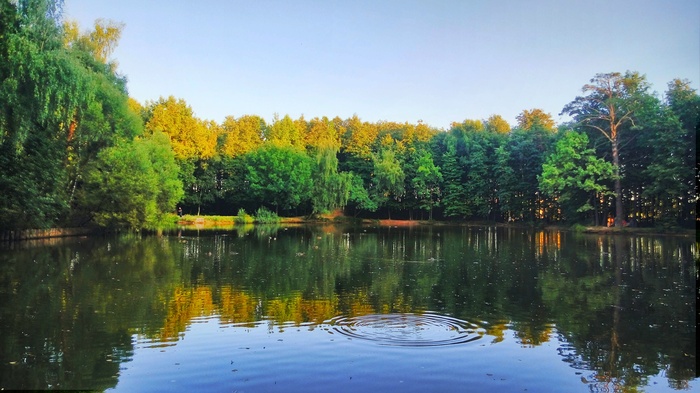 ������, �������