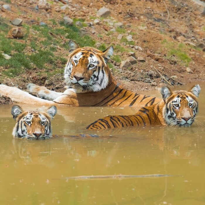 Жарко наверное)