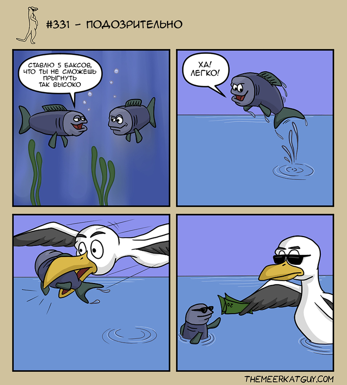 �������������