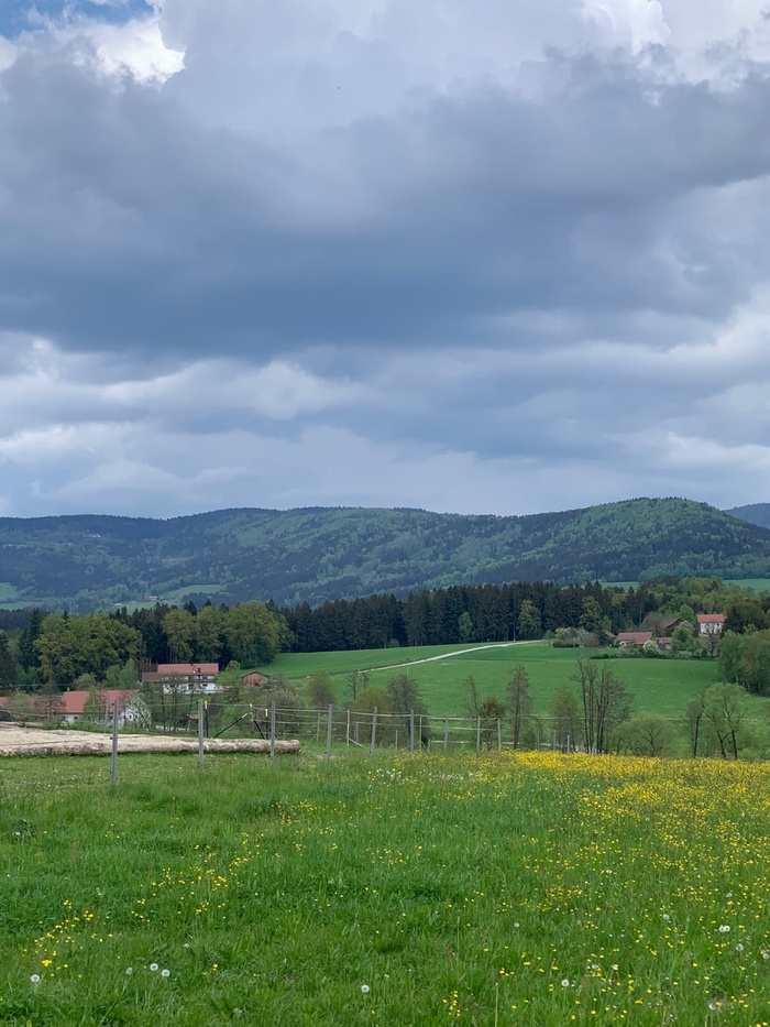 ����� ��������� ��������, �������, �����, �������, ����������