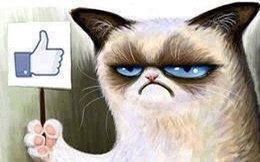 ���������� ������ ���������?