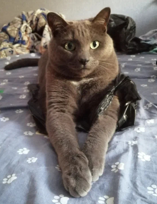 Мне френч, пожалуйста