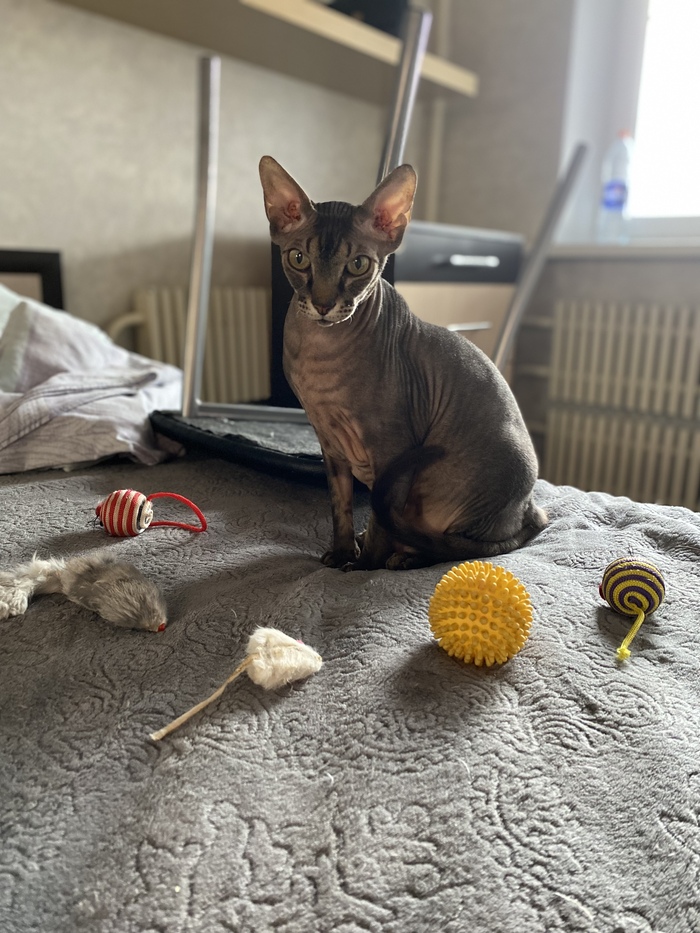 ������ ������ �� ���!!!