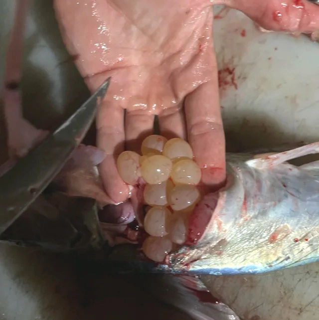 ������� � ����