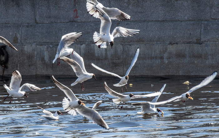 ��������� ��������� � ����