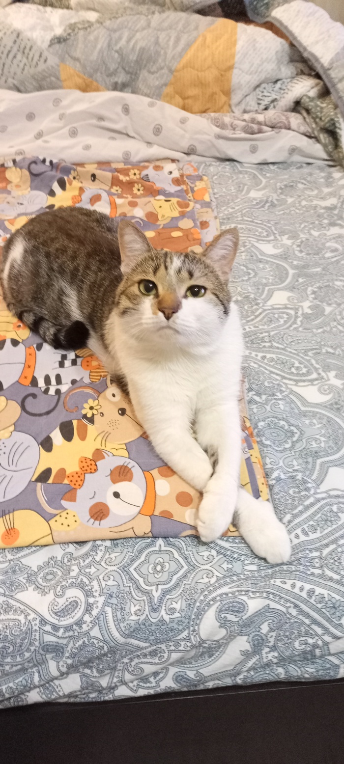     , ,   , ,  ,   , 