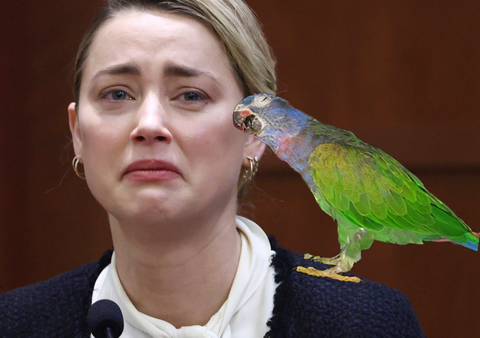 Джонни Депп видит это так