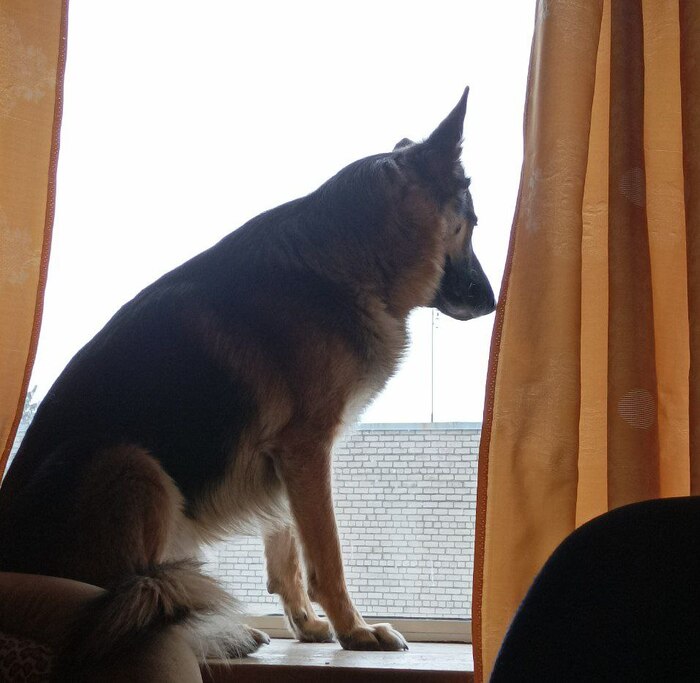 ��������� "�����"