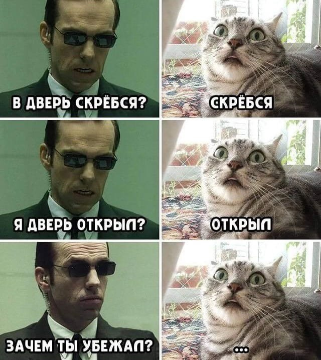 ... ,   , ,  