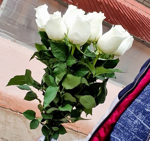 Эксперимент 10 роз