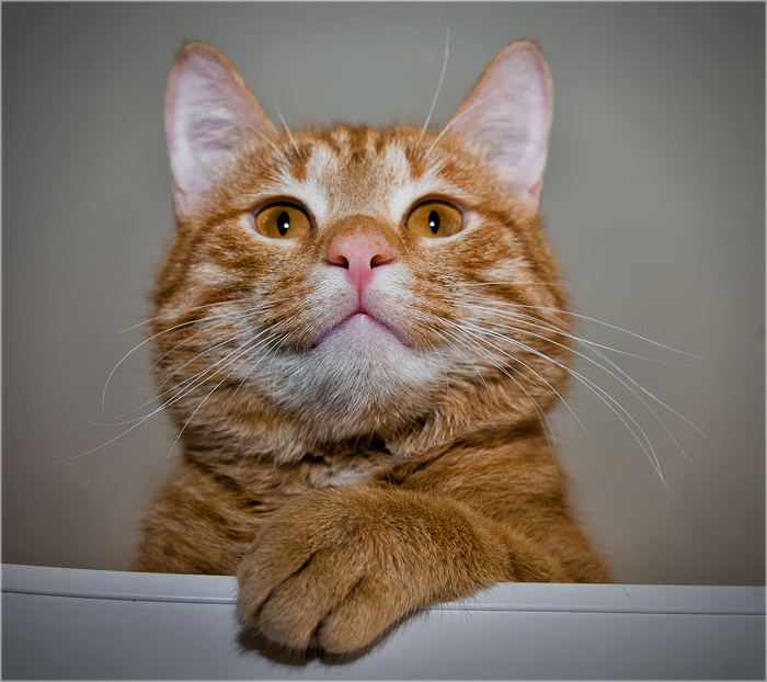 �������