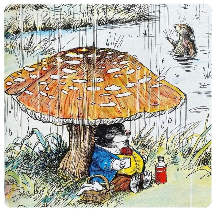 У природы нет плохой погоды