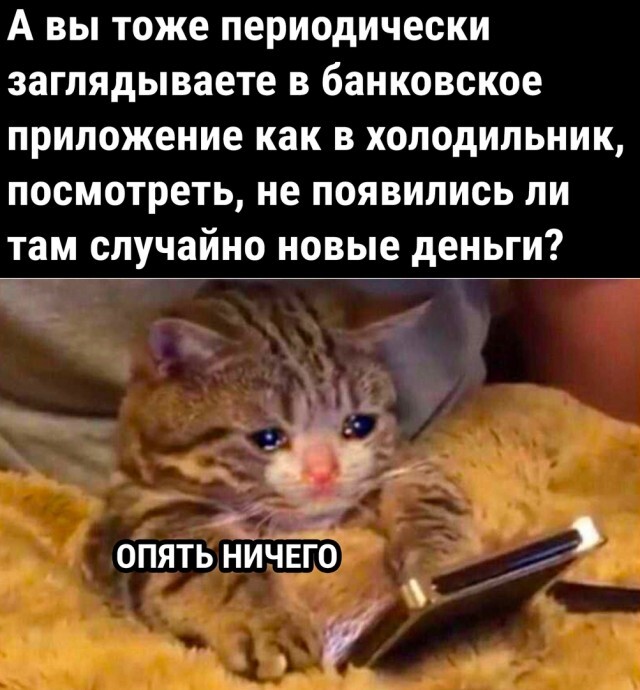 А вы тоже..?