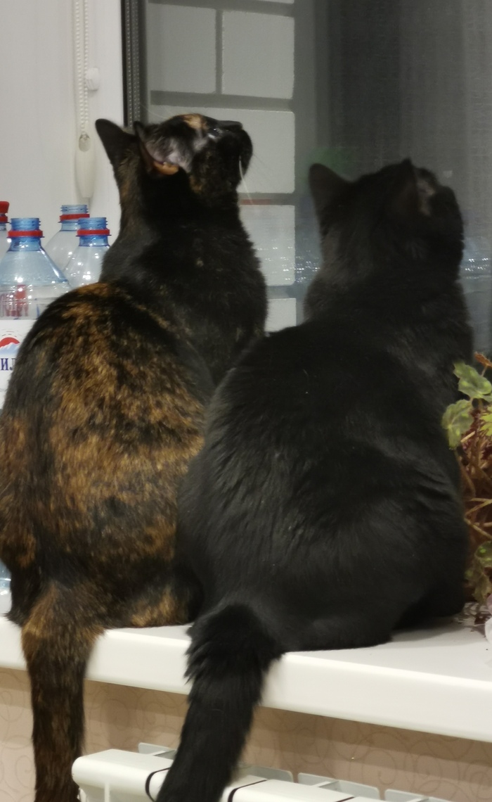 �� ������. �� ������ ���������. ������� ���