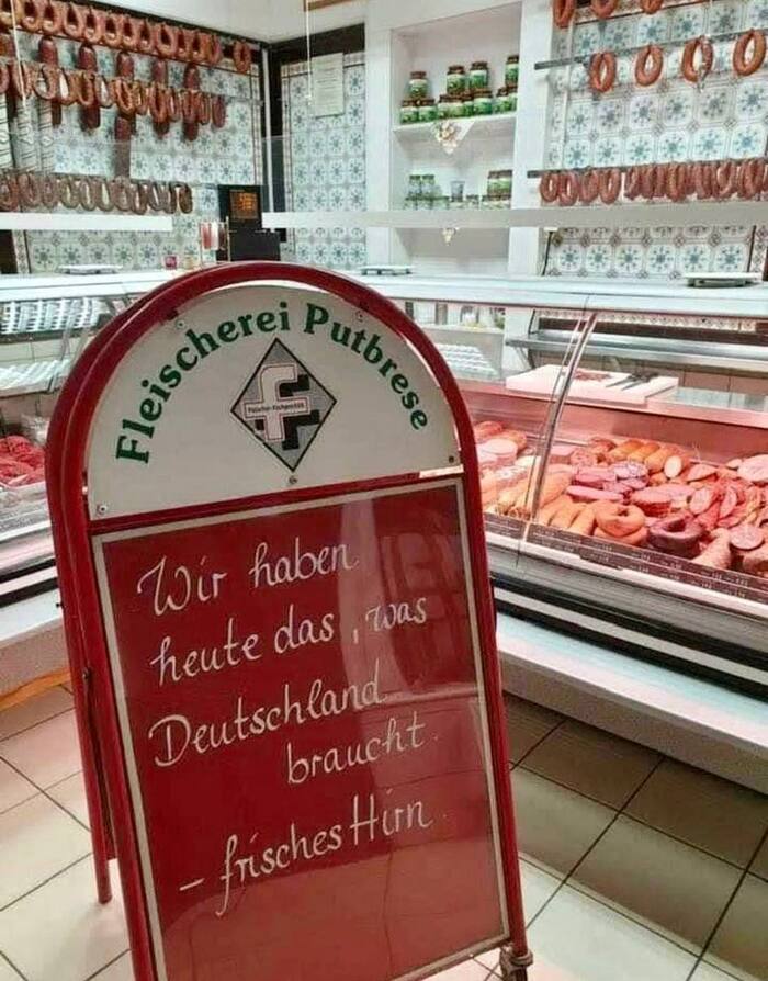 «Сегодня у нас есть то, что нужно Германии - свежие мозги»