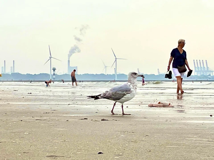 ���������� ����