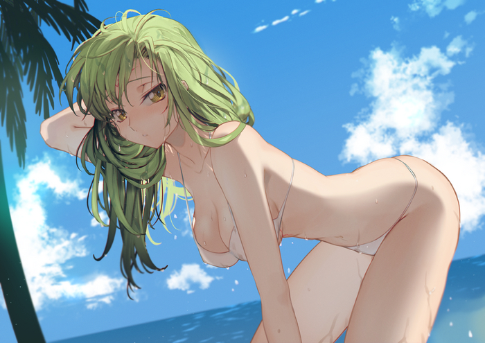 ���� ������ � C.C