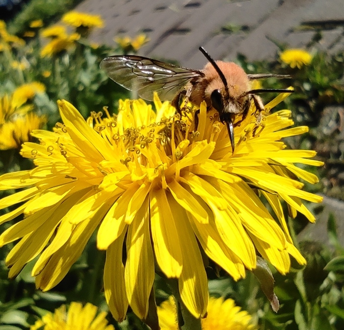 �������� ����