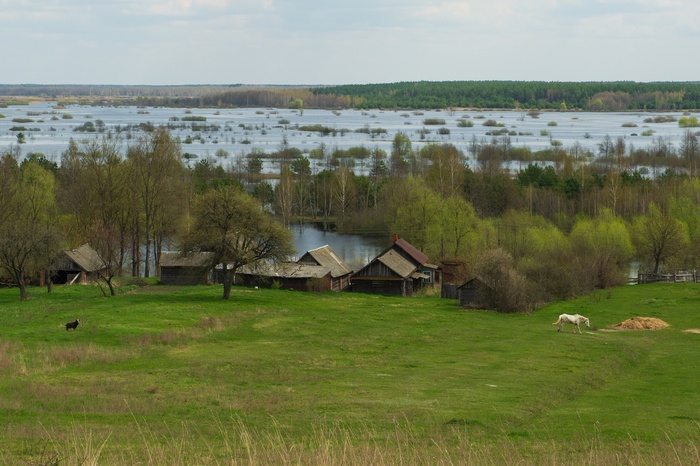 Село Ущрепье, Брянская область