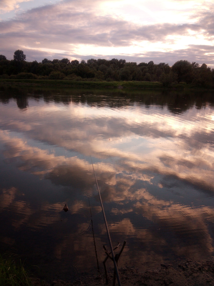 Алтайская природа