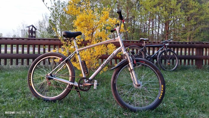 А вот и мой коняка