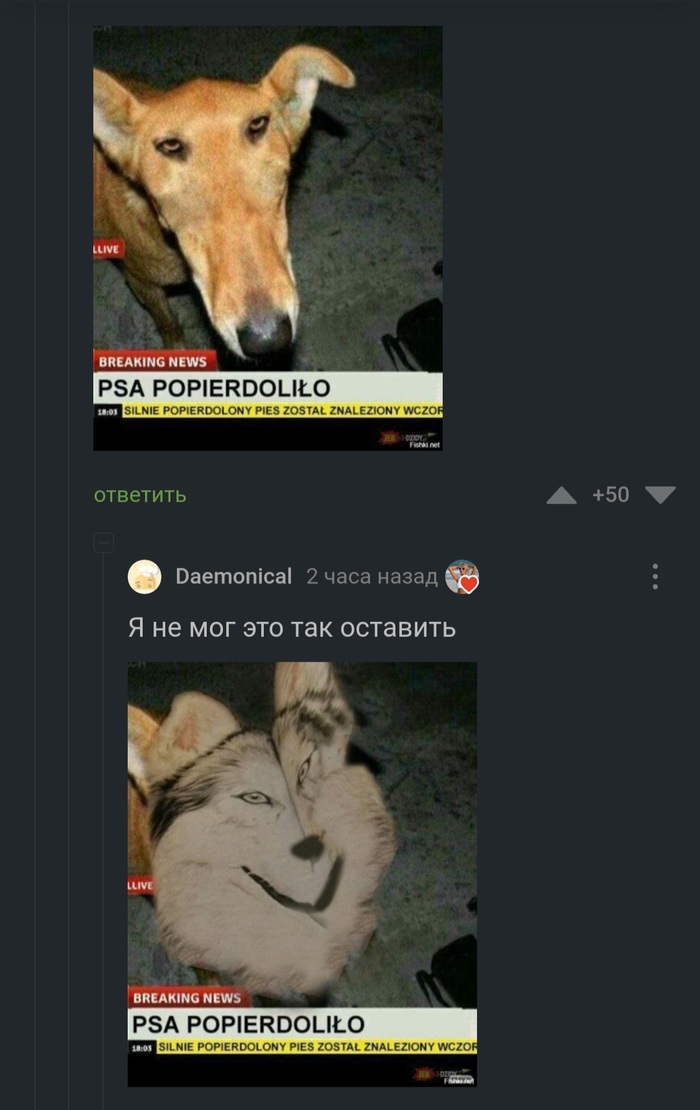 ��� ������������