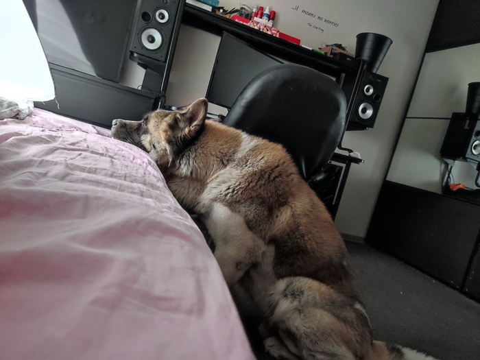    ,  , , 