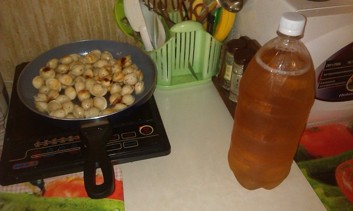 Тот момент, когда предстает очень хороший вечер:)