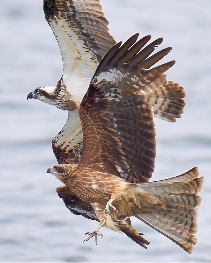 Красивая пара