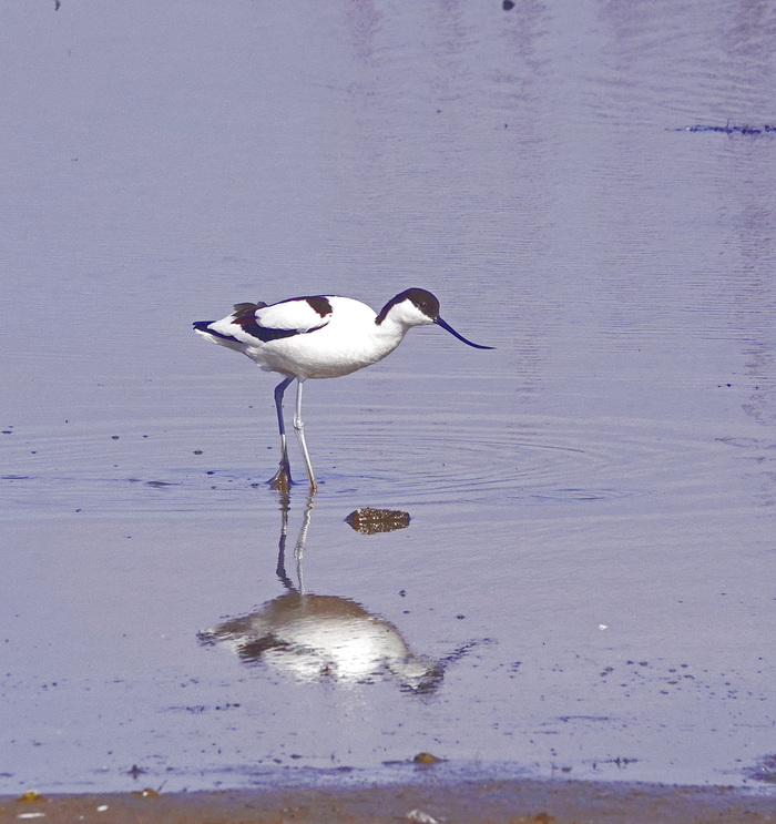 ���������� - �����-����� �����