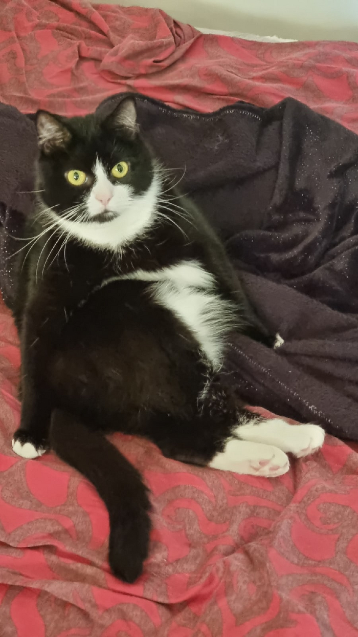 ��� ������ �� ������?