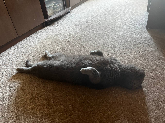   ,  ,  , 