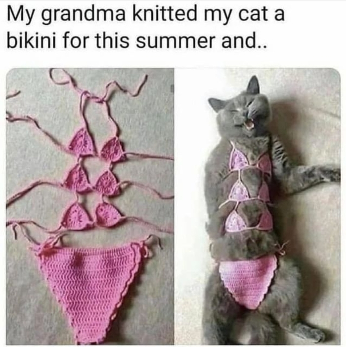 Бикини для котини