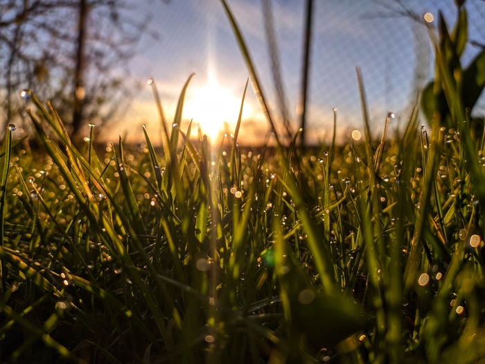 �� �������� ��������� ����������, �����, ���, �������