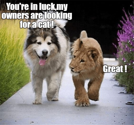 Ты счастливчик