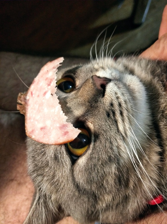 ������� ����-������ ��� ����������