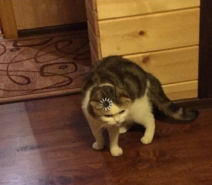 ����� �� ���� ���� �����