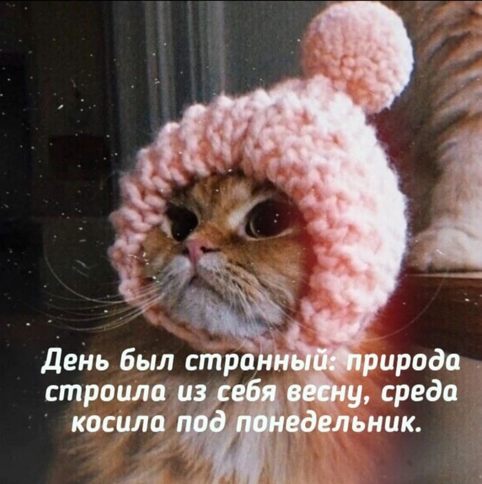 ������ ������� ���� ����� �������