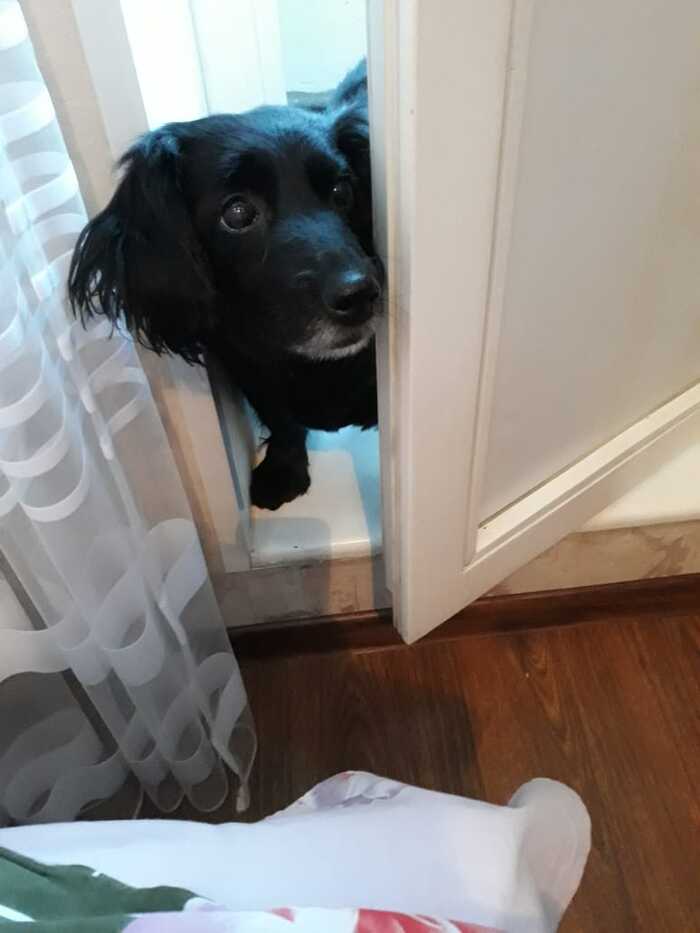 "      ?.."  , ,  , 