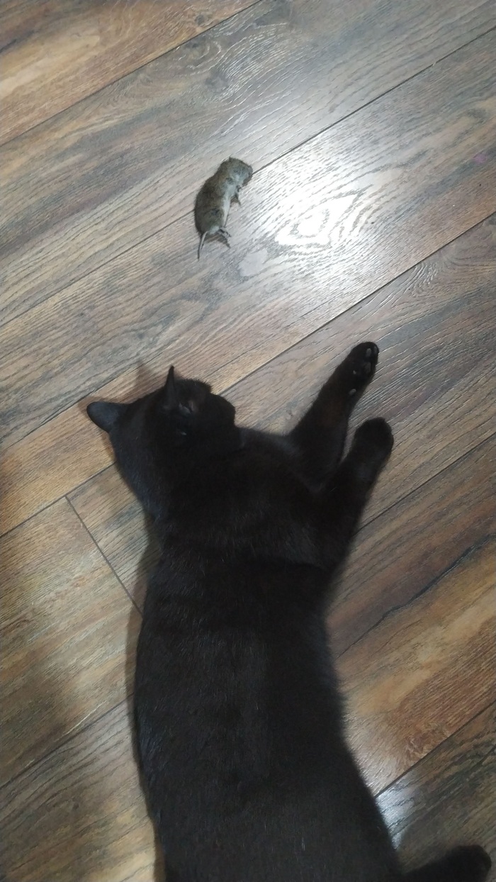 ��������)