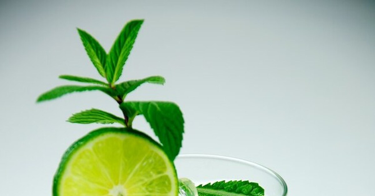 Рецепт алкогольного мохито | Пикабу