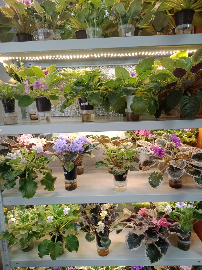 Образование бесплатно