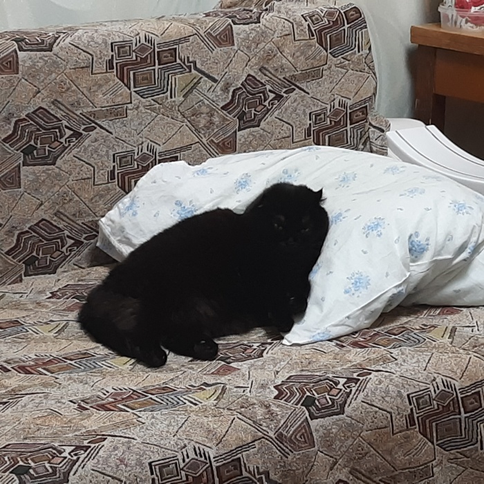    , , 