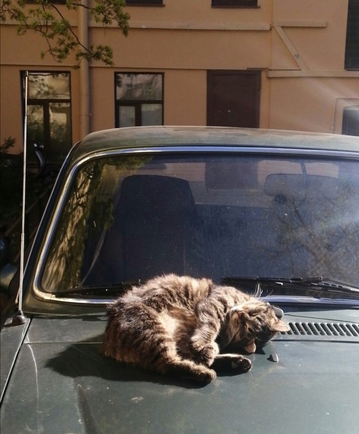 ��� �������, �����, ��� �� �������� ����