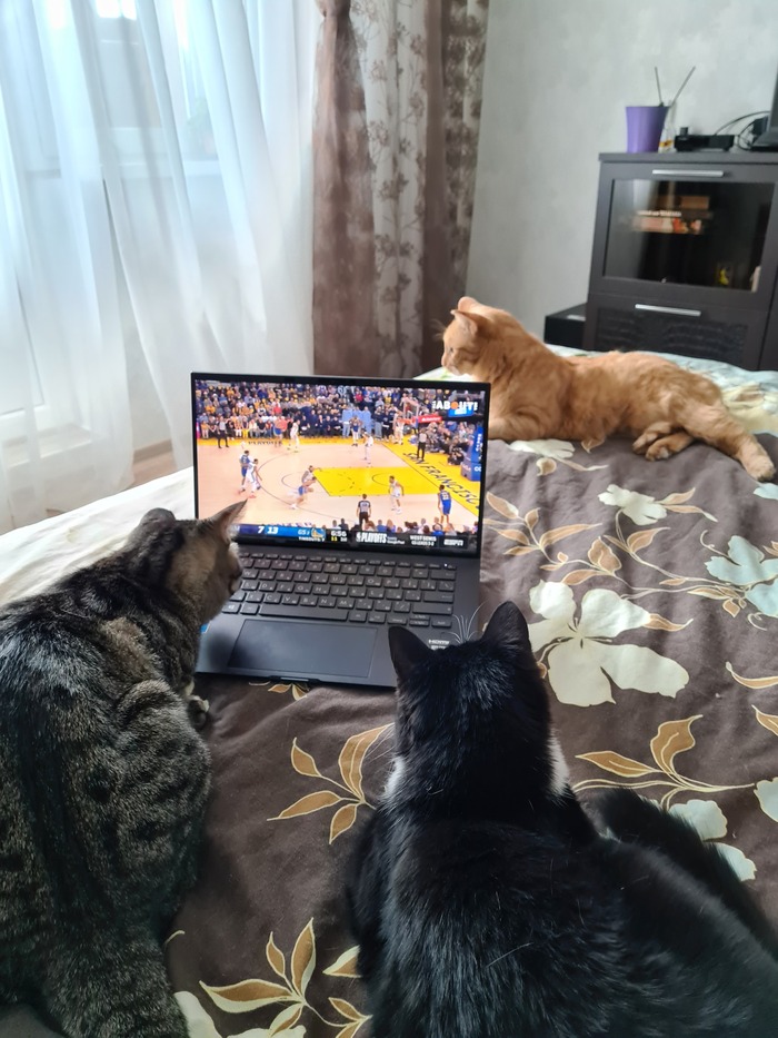 ������� ���������