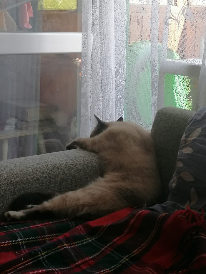 Чет приуныл...