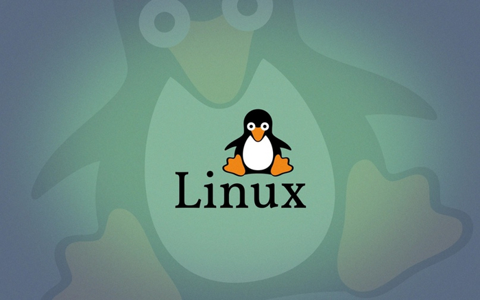 CS:GO  Linux,  ? Linux, Ubuntu, Arch, Debian, , Steam, Steam Os, , , Proton, Native,  , -, -, Linux  Windows, Astra Linux, 