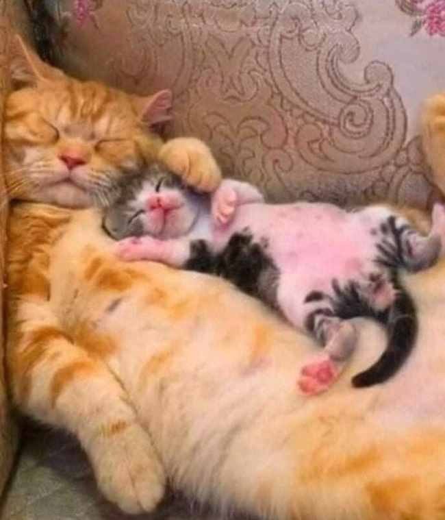 ���� � ����� ���, ������