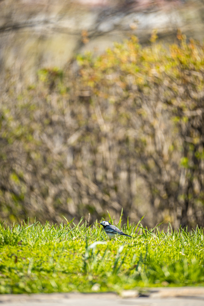 ��������� �� ������